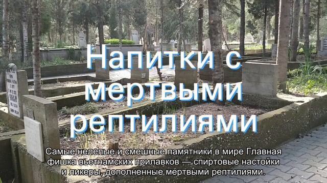 Самые нелепые сувениры со всего мира