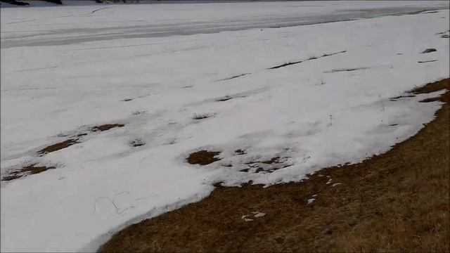 Открытие шашлычного сезона 30/03/2019