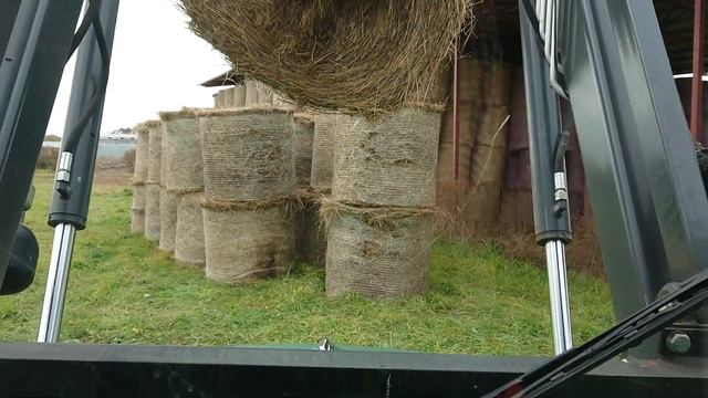 СКЛАДИРУЕМ СЕНО. Октябрь 2019 года. #дикфарм #dikfarm