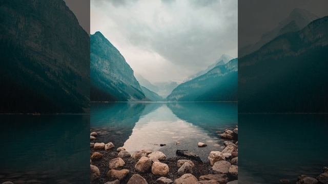 Релакс дикий лес музыка для сна