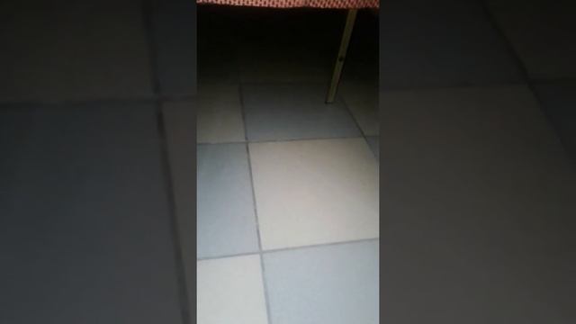 24 часа в кафе