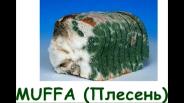 продукты на итальянском с русским переводом слова parole prodotti russo italiano