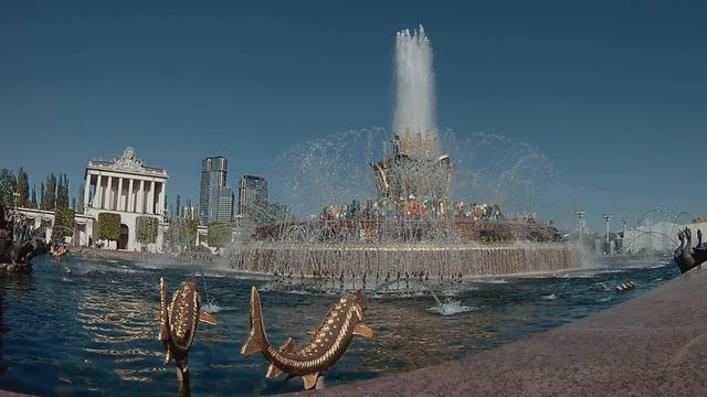 фонтан Каменный цветок Москва 2024г.