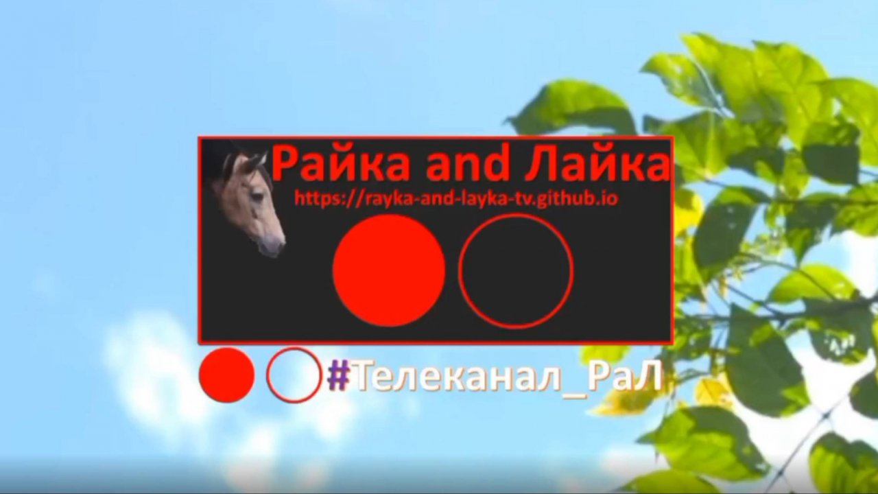 Прямой эфир интернет-телеканала "Райка and Лайка"