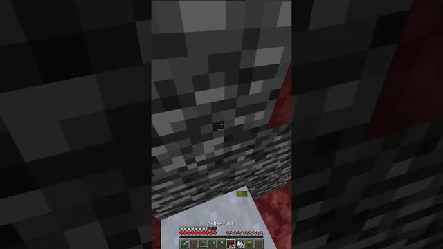 Drip Leaf Can BREAK BEDROCK In Minecraft (Snapshot 21w05b)