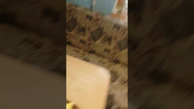 Готовлю грибы с картошкой