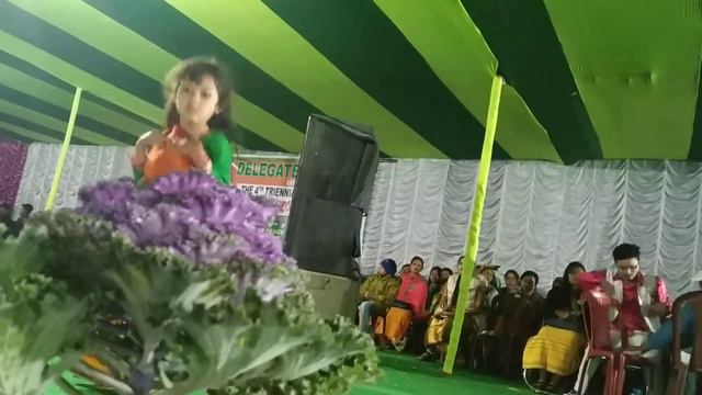 Dodoland day. Little girls dancing