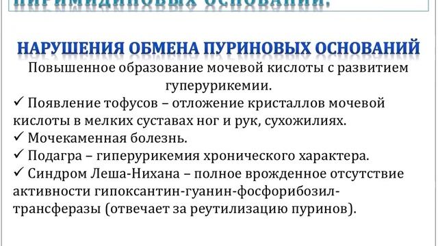 Строение нуклеиновых кислот  Катаболизм пуриновых и пиримидиновых оснований  Репликация