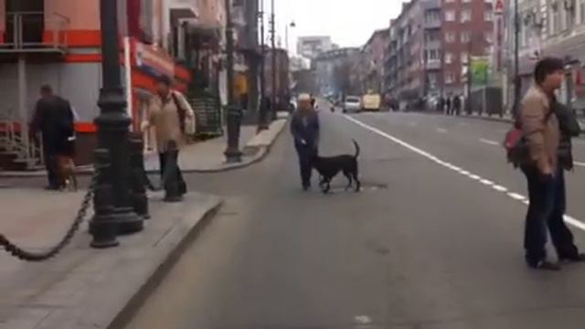 Ночь в музеях