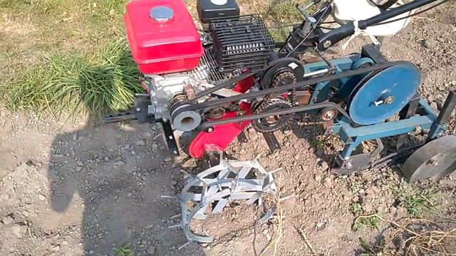 Копка картофеля мотоблоком 2019г.