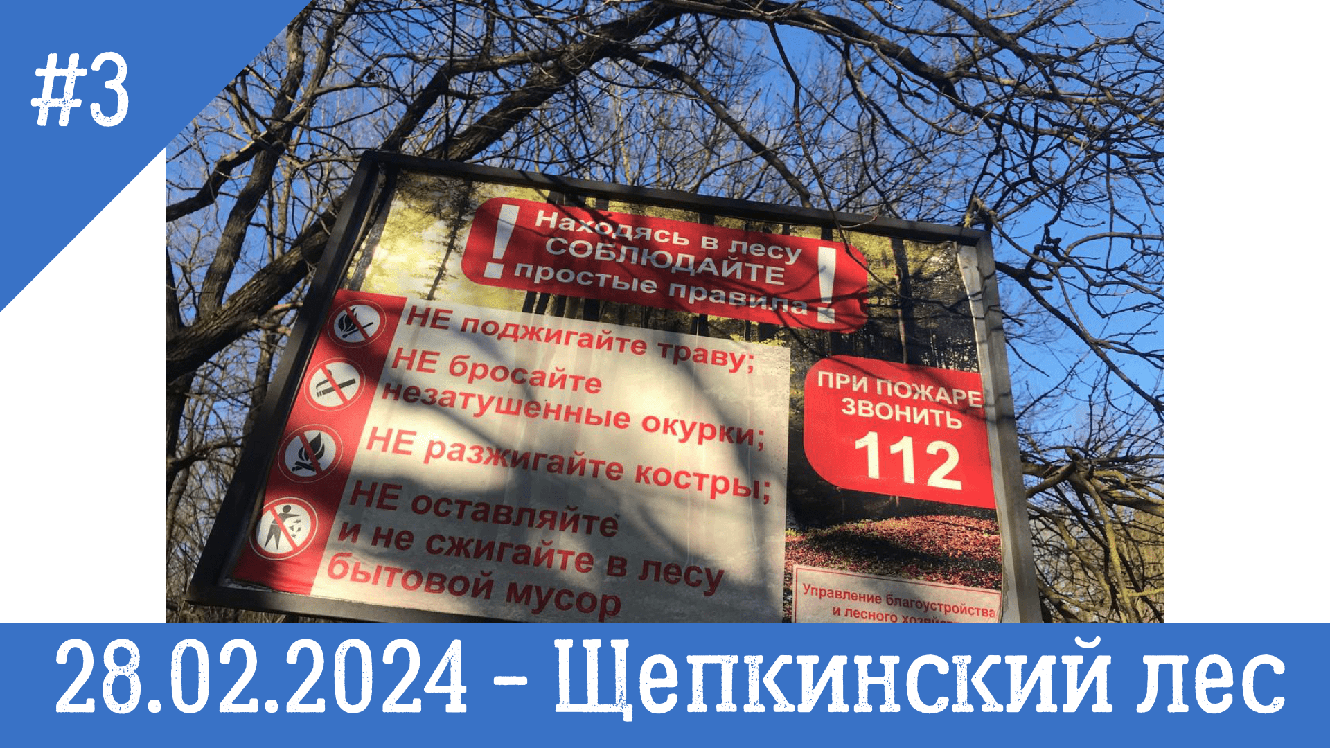 28022024-Ростов-на-Дону-прогулка Щепкинский лес