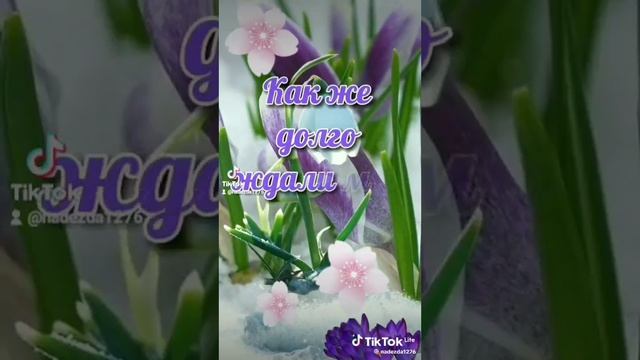 Ура! Весна пришла