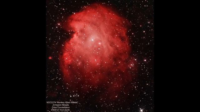 NGC2174 Monkey Head Nebula 2020