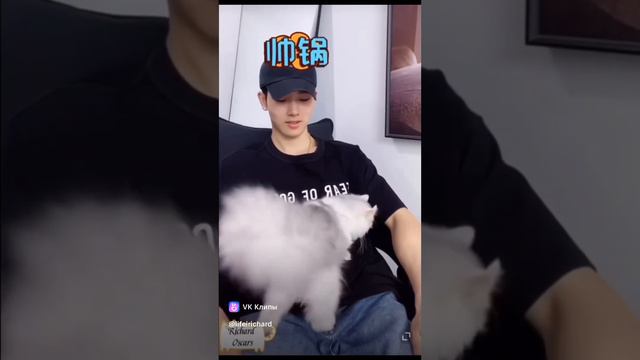 Ли Фэй и его кошка Ка-ка