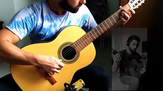 Robin Hood - Planting the Fields (Classical Guitar)