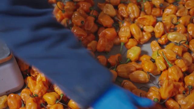 About Royal Food Service