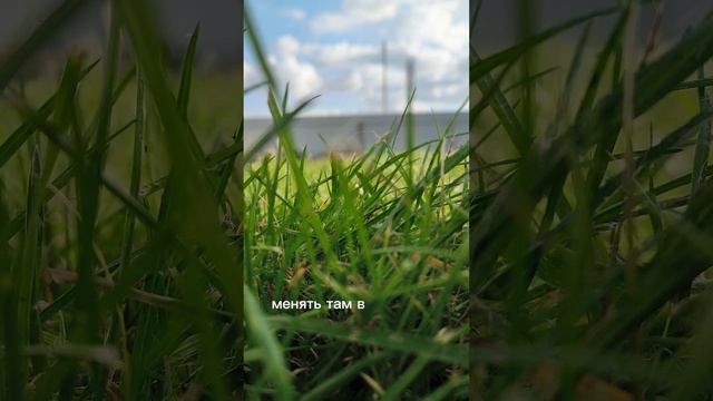 1000030393.mp4