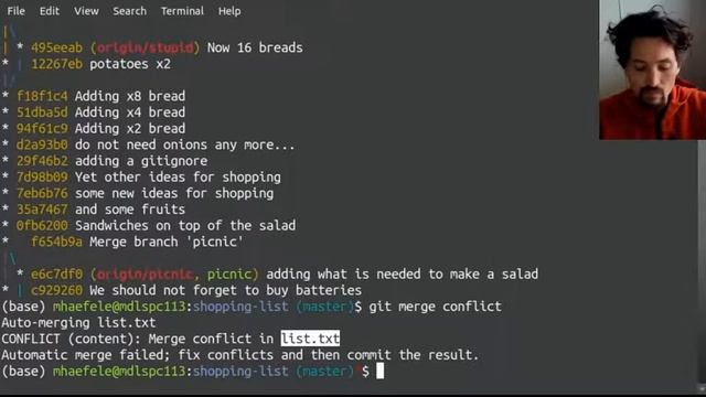 Git basics, conflicts