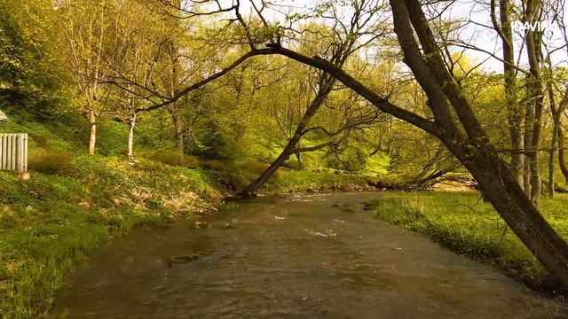 Oru park Toilas - hästi viidastatud ja hooldatud pargis saad ringi jalutada  "VR Toila 1938"