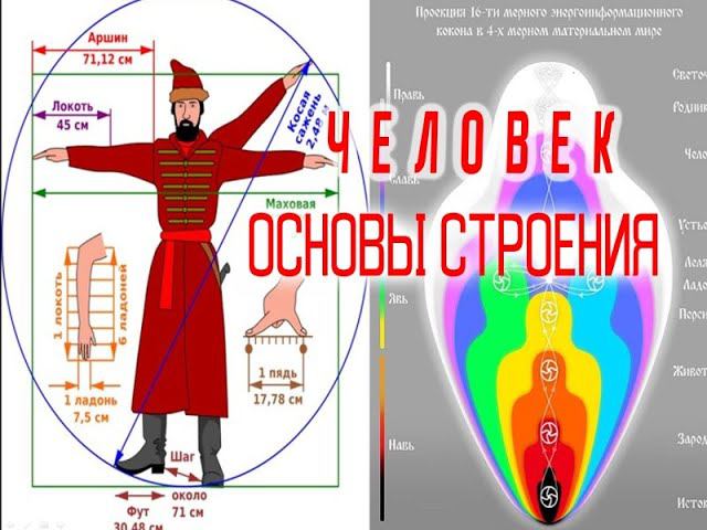 Человек - Основы строения / Виктор Максименков