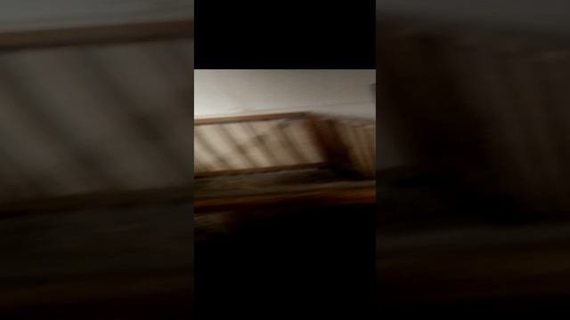 поменяли пусковую чашу  Лифан 173ф20240907_111904.mp4