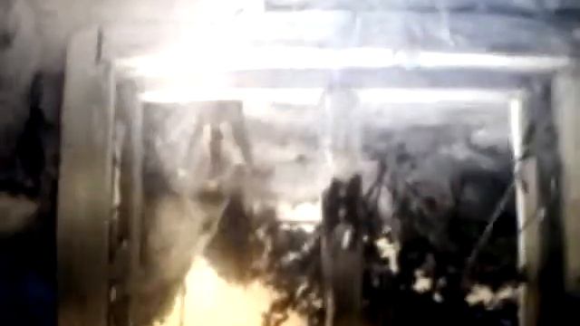 Сирена и песня дили тили бом