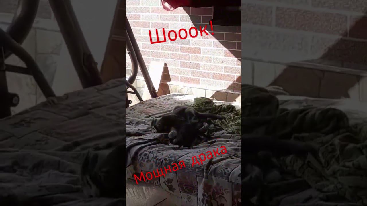 Когда не поладили.