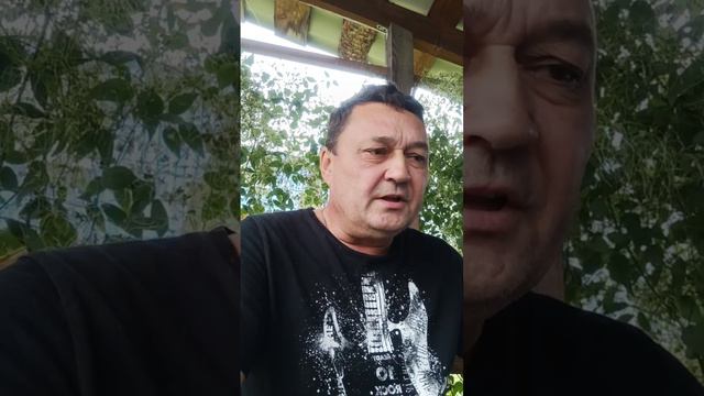 "Свои"