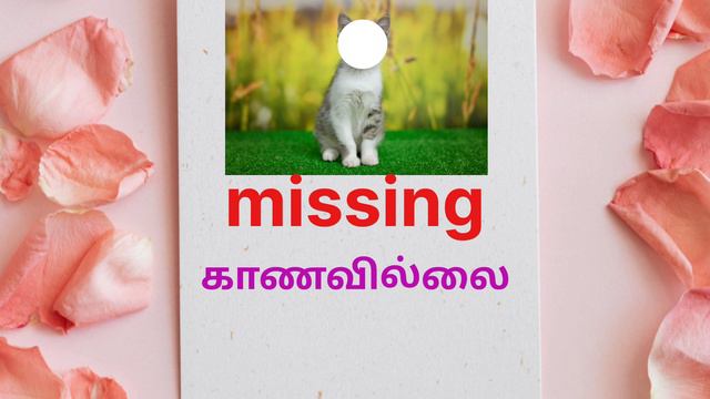 Ennum ezhuthum || class 4 & 5 || lesson:1 || word wall #1