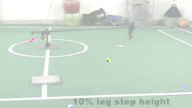 Stepper 2D Point Foot Walking Over Obstacles Up and Down.wmv
