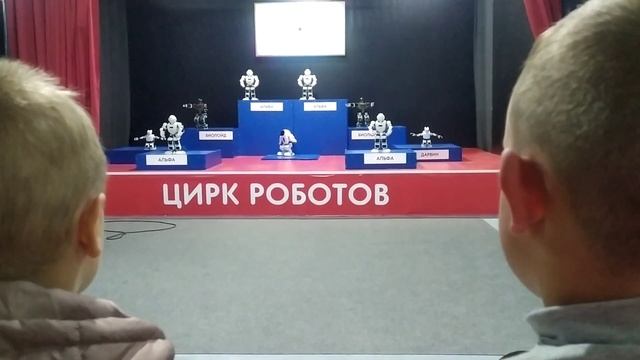 цирк роботов