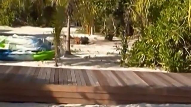 THE BAREFOOT eco hotel,  HANIMAADHOO,   MALDIVES