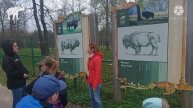 Семейная вылозка или Приокско-Террасный государственный природный биосферный заповедник.