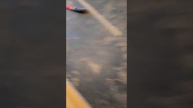 не понял ?!Ламинат на утеплитель? 1см  ,   как по болоту.