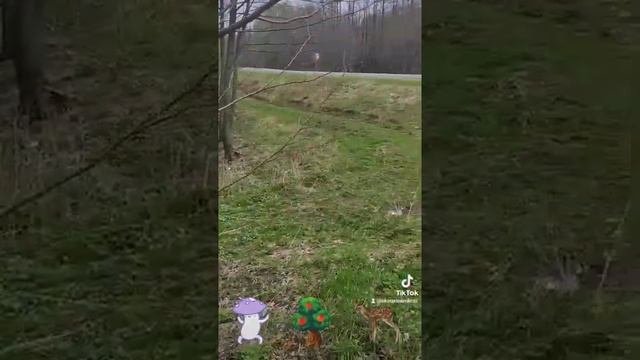 наша малышка #вольво #s60