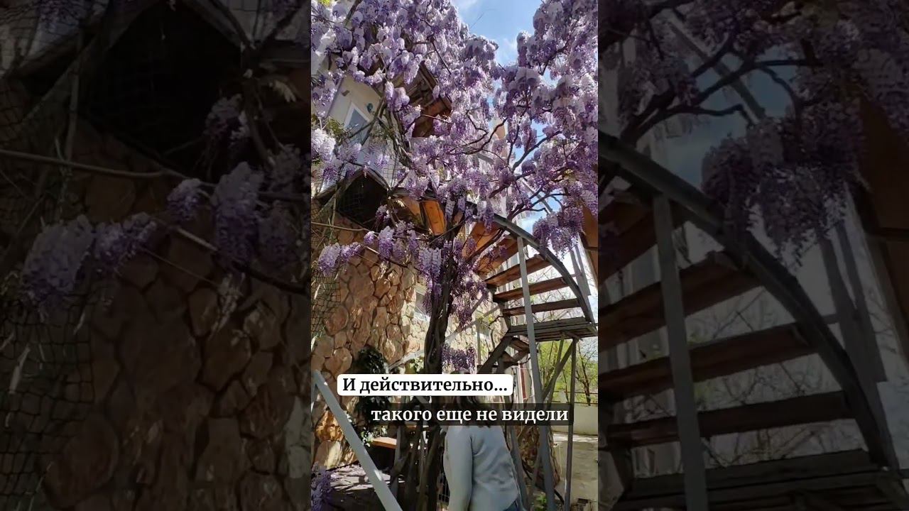 Такого вы ещё не видели в своей жизни.