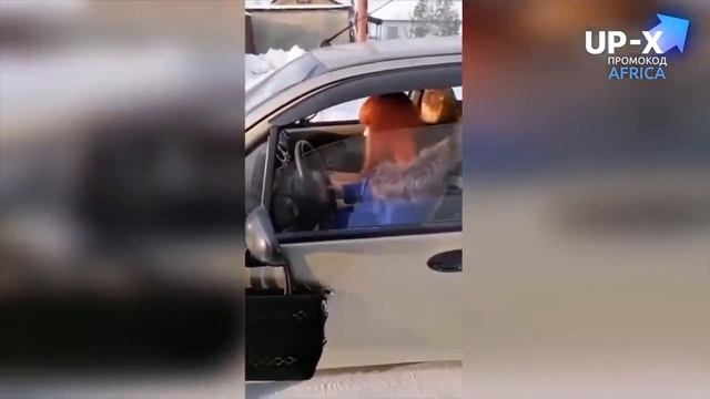 Я ржал до слез ? Русские приколы 2022 Смешные видео - Лучшие ПРИКОЛЫ