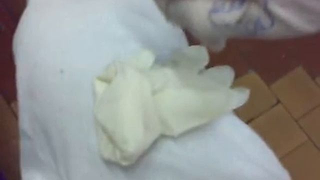 Ручной лев Симба