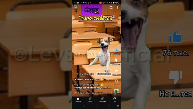 screen-20240723-145524.mp4