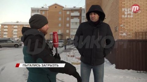 В Улан-Удэ стая бездомных собак напала на 7-летнего ребенка