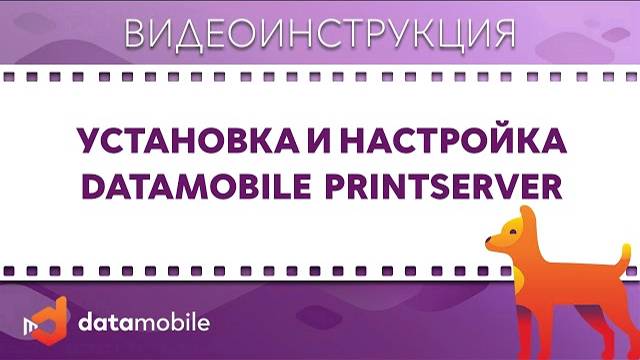 DataMobile 3: Установка и настройка Datamobile PrintServer