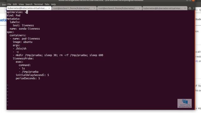 Kubernetes 116- Sonda liveness tipo comando