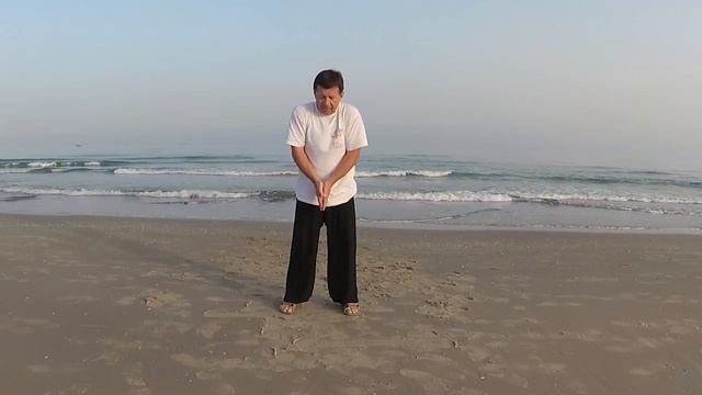 Александр Кадацкий, Кошка-Тигр