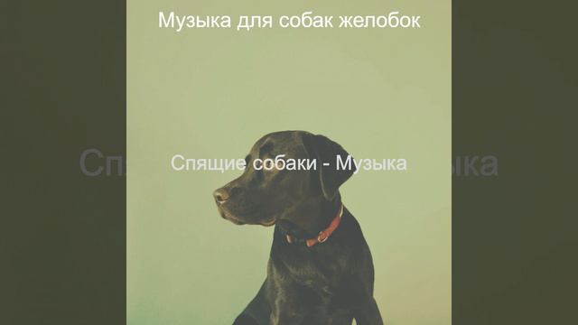 Видения (Щенки)