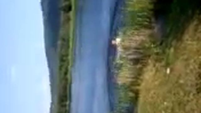 "Водяной из Андреевки" Мега РЖАЧ