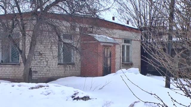 В Чайковском будет создан приют для животных