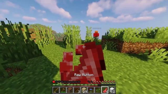 I played Minecraft Java for the FIRST time! ft. @SumDeathjr (GumbSMP)