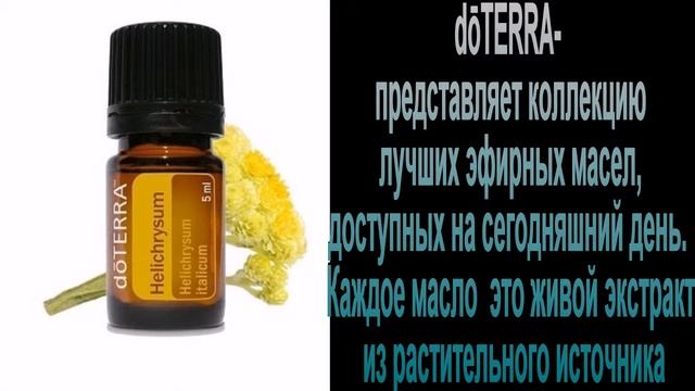 Бессмертник Helichrysum italicumЭфирное масло