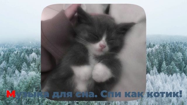 МУЗЫКА ДЛЯ ТВОЕГО СНА. | СПИ КАК КОТИК! | oneheart, antent и другие. #эмбиентмузыка.