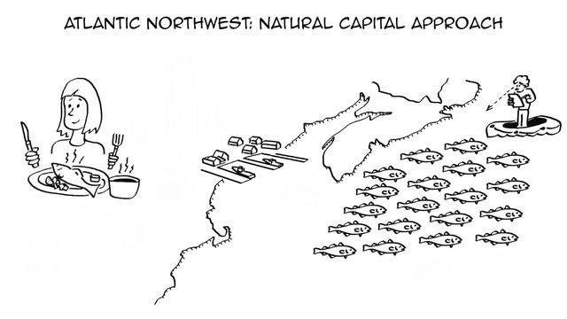 Natural Capitalism: definition & examples